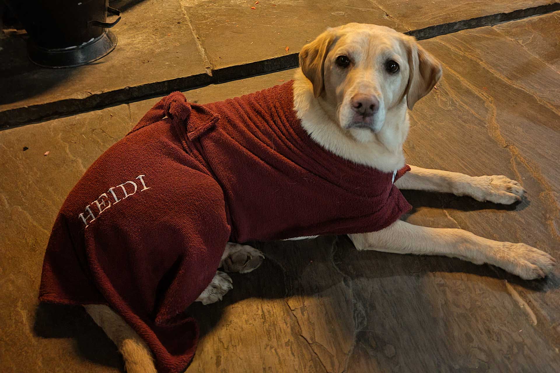 heidi-1000006097